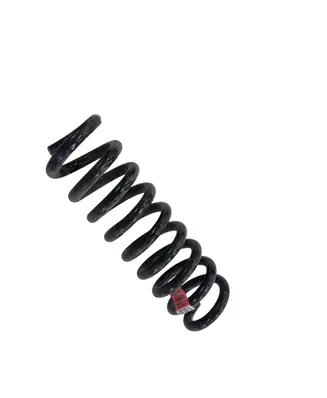 Chevrolet Camaro Rear coil spring 23341860 GRS9295