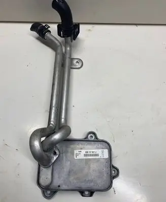 Volkswagen PASSAT B7 Engine oil radiator 03C117021J