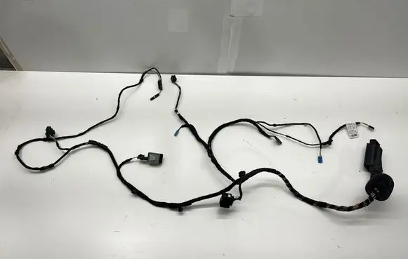 BMW X2 F39 Front door wiring loom 19344411 8795812