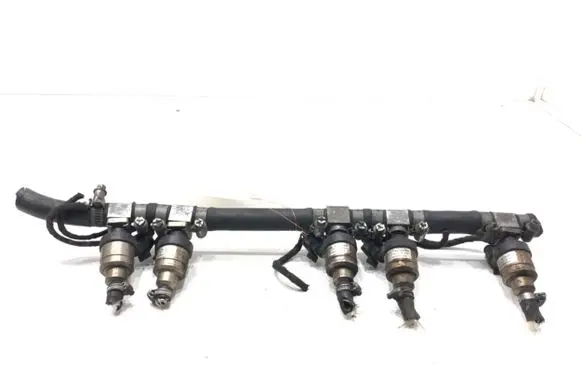 Volvo S60 LP gas injector EG2000