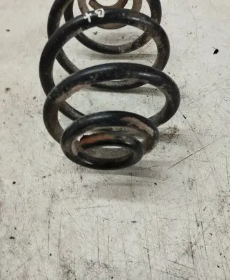 Volkswagen PASSAT B5.5 Rear coil spring