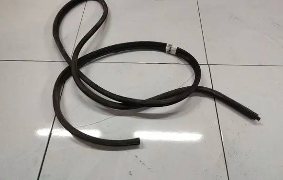 Renault Scenic I Rubber seal rear door 