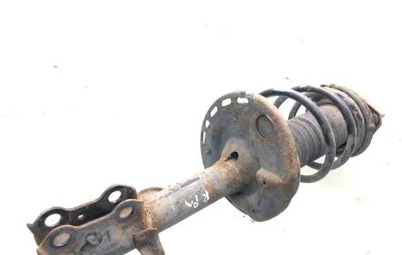 Toyota RAV 4 (XA40) Front shock absorber with coil spring 4852042610