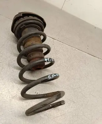 Rear coil spring