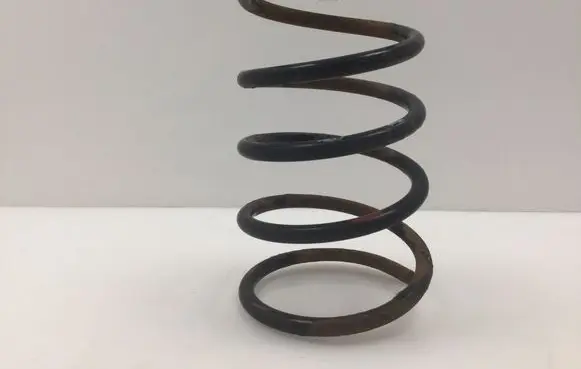 Rear coil spring