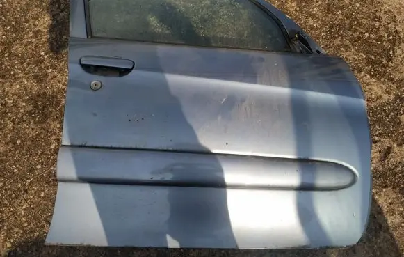 Citroen Xsara Picasso Front door pilkos