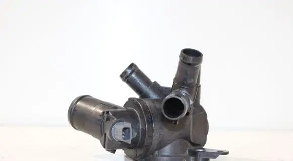 Thermostat/thermostat housing