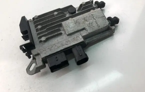 Peugeot 308 Other control units/modules 9819598180