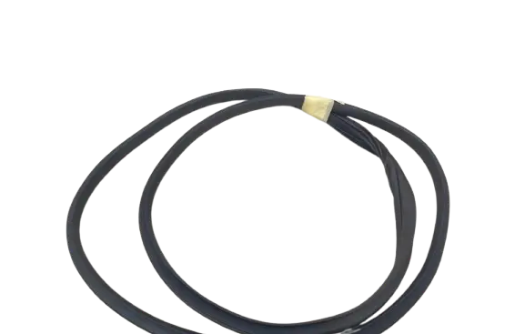 BYD Dolphin Rubber seal rear door PUD4038