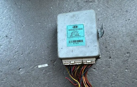 Hyundai Terracan Other control units/modules 95400H1600