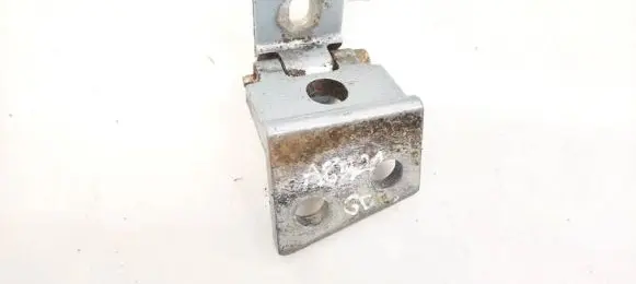Rear door lower hinge