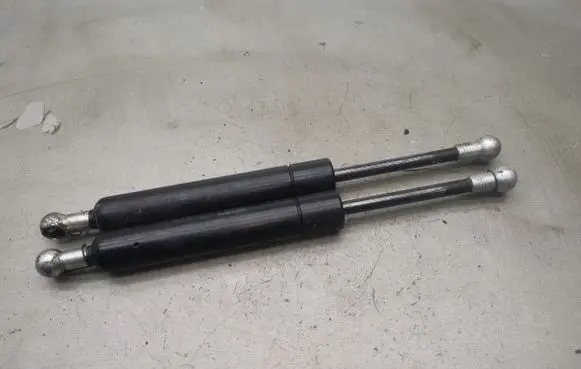 Tailgate/trunk strut/damper