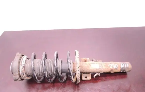 Skoda Fabia Mk1 (6Y) Front shock absorber with coil spring D230