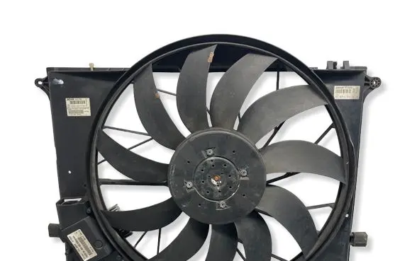 Mercedes-Benz S W220 Electric radiator cooling fan A2205000193