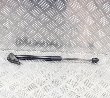 Nissan Leaf I (ZE0) Tailgate/trunk strut/damper 904503NL0A