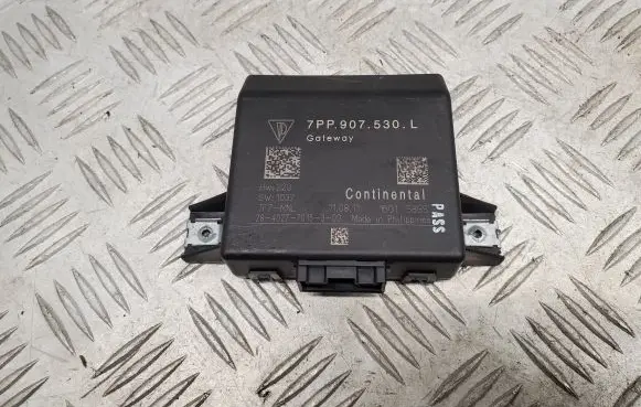 Porsche Cayenne (92A) Gateway control module 7PP907530L