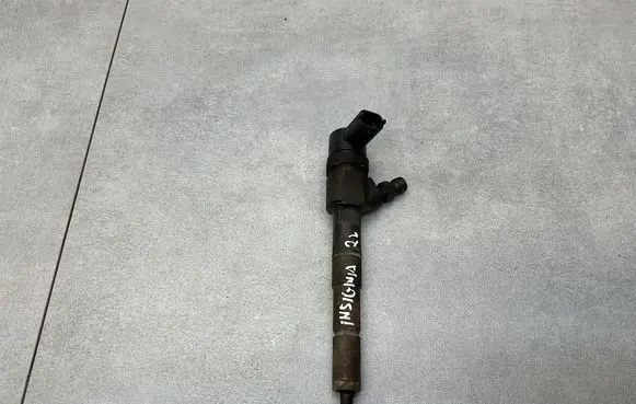 Opel Insignia A Fuel injector 55577668