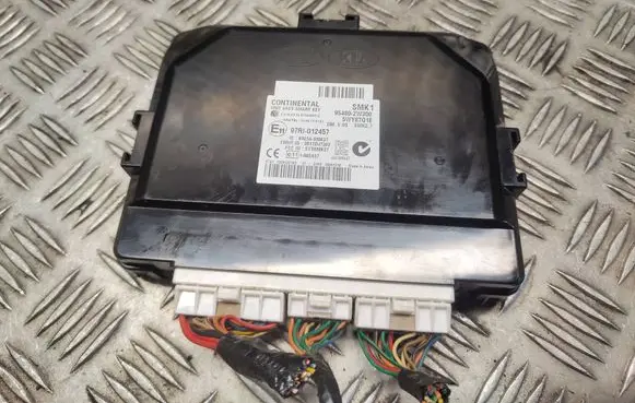 Hyundai Santa Fe Door central lock control unit/module 954802W300 5WY8791E