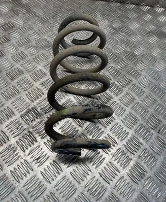 Front coil spring