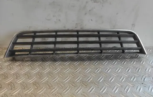 Volkswagen PASSAT B6 Front bumper lower grill 3C0853101