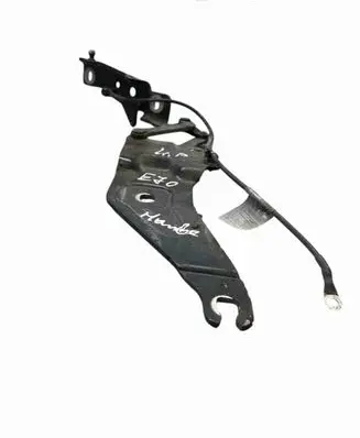 BMW X5 E70 Engine bonnet/hood hinges 720862801