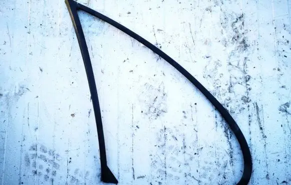 Renault Scenic I Rear door glass trim molding