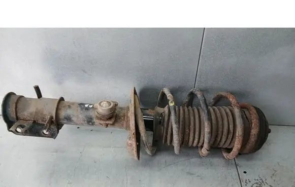 Fiat Punto (199) Front shock absorber/damper