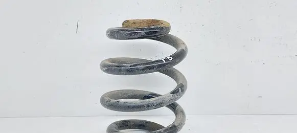 Volkswagen Transporter - Caravelle T5 Rear coil spring