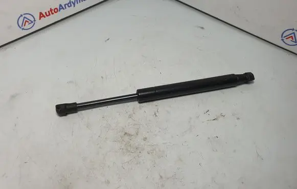 Tailgate strut