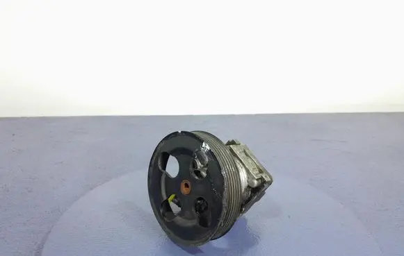 Suzuki Grand Vitara II Power steering pump 78K0