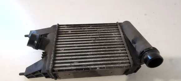 Nissan Juke I F15 Intercooler radiator 144613ZU1B