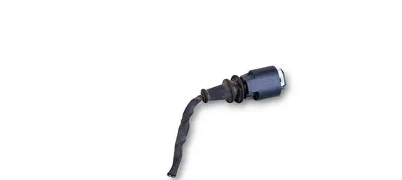 BMW X3 G01 Other wiring loom 8795958 54655