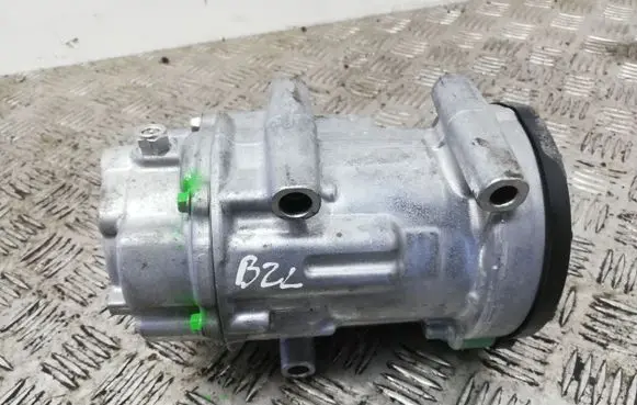 Toyota RAV 4 (XA50) Air conditioning (A/C) compressor (pump) 0424001101