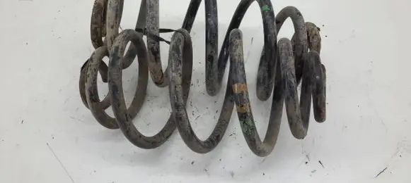 Volkswagen PASSAT B5 Rear coil spring 8001