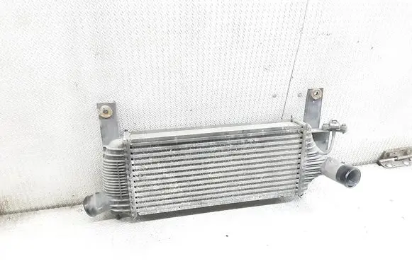 Nissan Pathfinder R51 Intercooler radiator 14461EB360