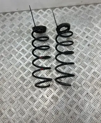 Rear coil spring