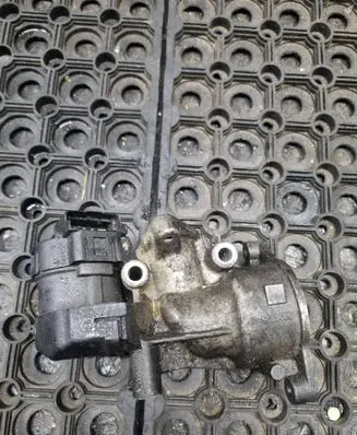 EGR valve