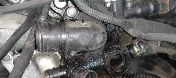 Renault Laguna III Engine coolant pipe/hose