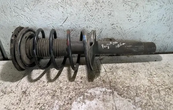 Peugeot 206 Rear shock absorber/damper