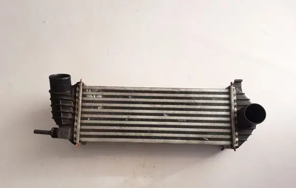 Renault Kangoo II Intercooler radiator 8200427469