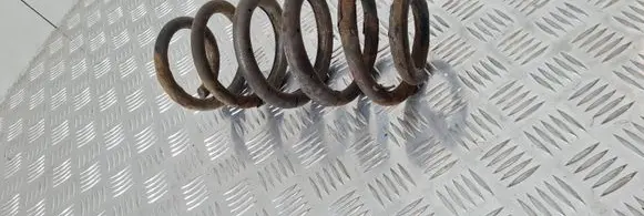 Toyota RAV 4 (XA30) Rear coil spring