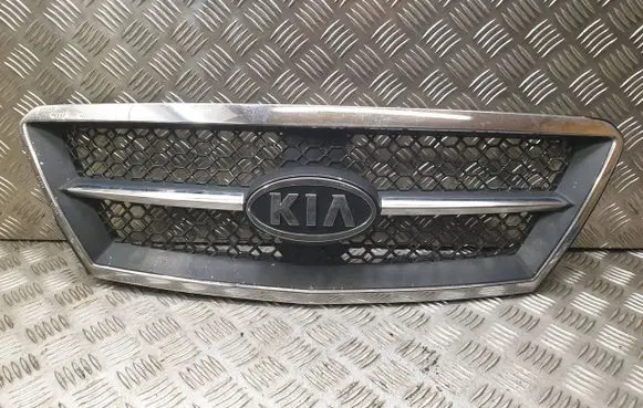 Front bumper upper radiator grill