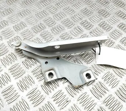 Volkswagen PASSAT B8 Engine bonnet/hood hinges 3G0823302