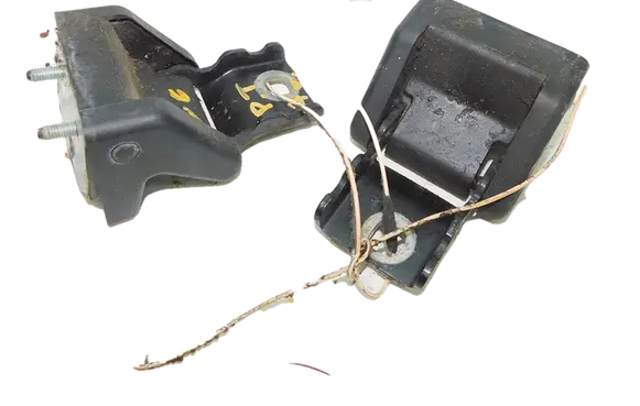 Citroen C6 Rear door hinge set 185728