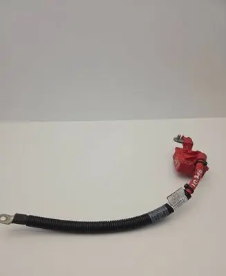 BMW X5 E70 Positive cable (battery) 9217004 EFG63Y