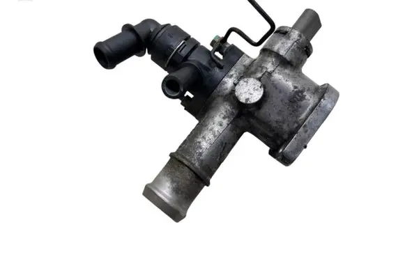 Thermostat/thermostat housing