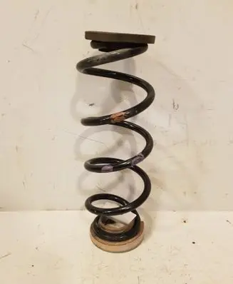 Rear coil spring