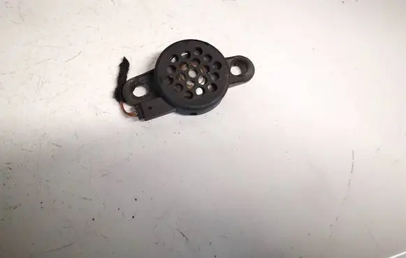 Front door speaker