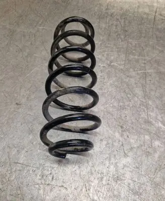 Rear coil spring