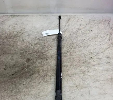 Opel Insignia B Tailgate/trunk strut/damper 39122135